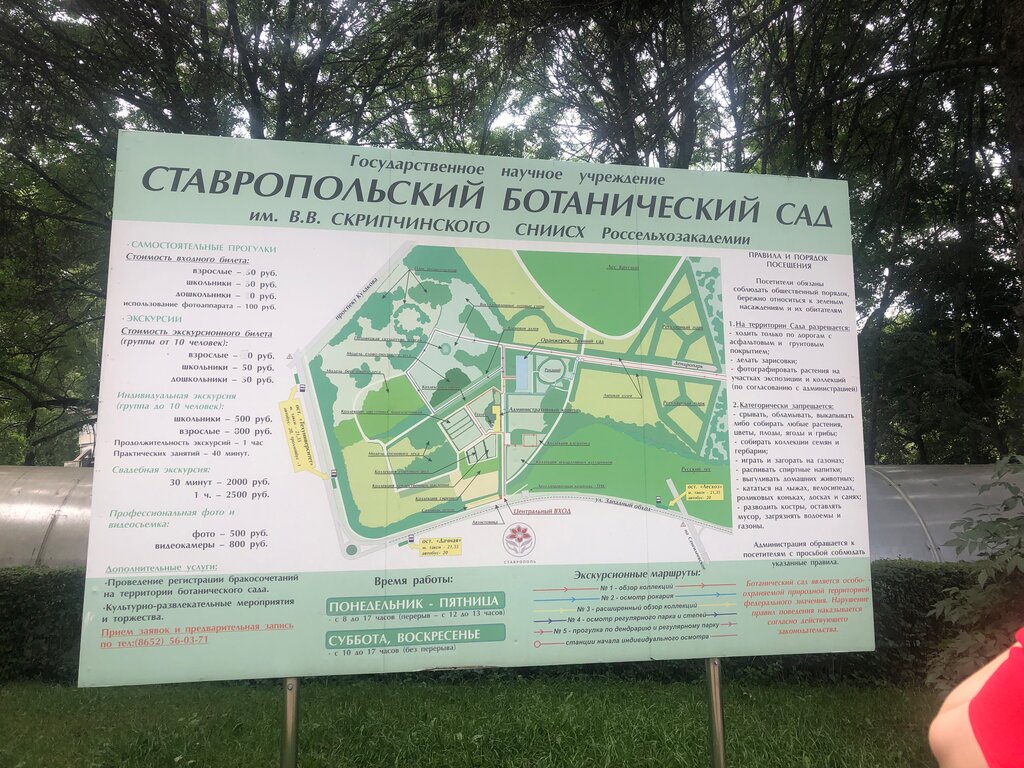 Ставропольский ботанический сад ул ленина 478 фото