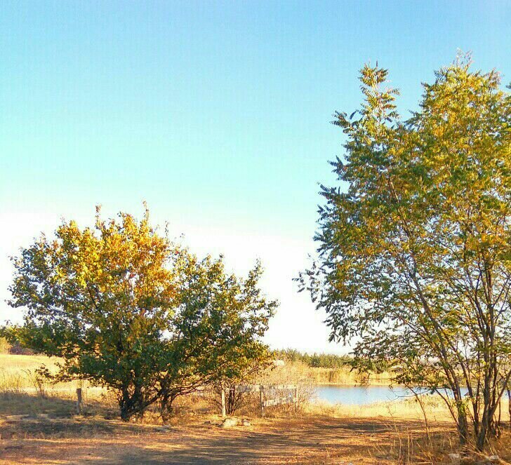 Resort Лесная сказка, Donetsk Region, photo