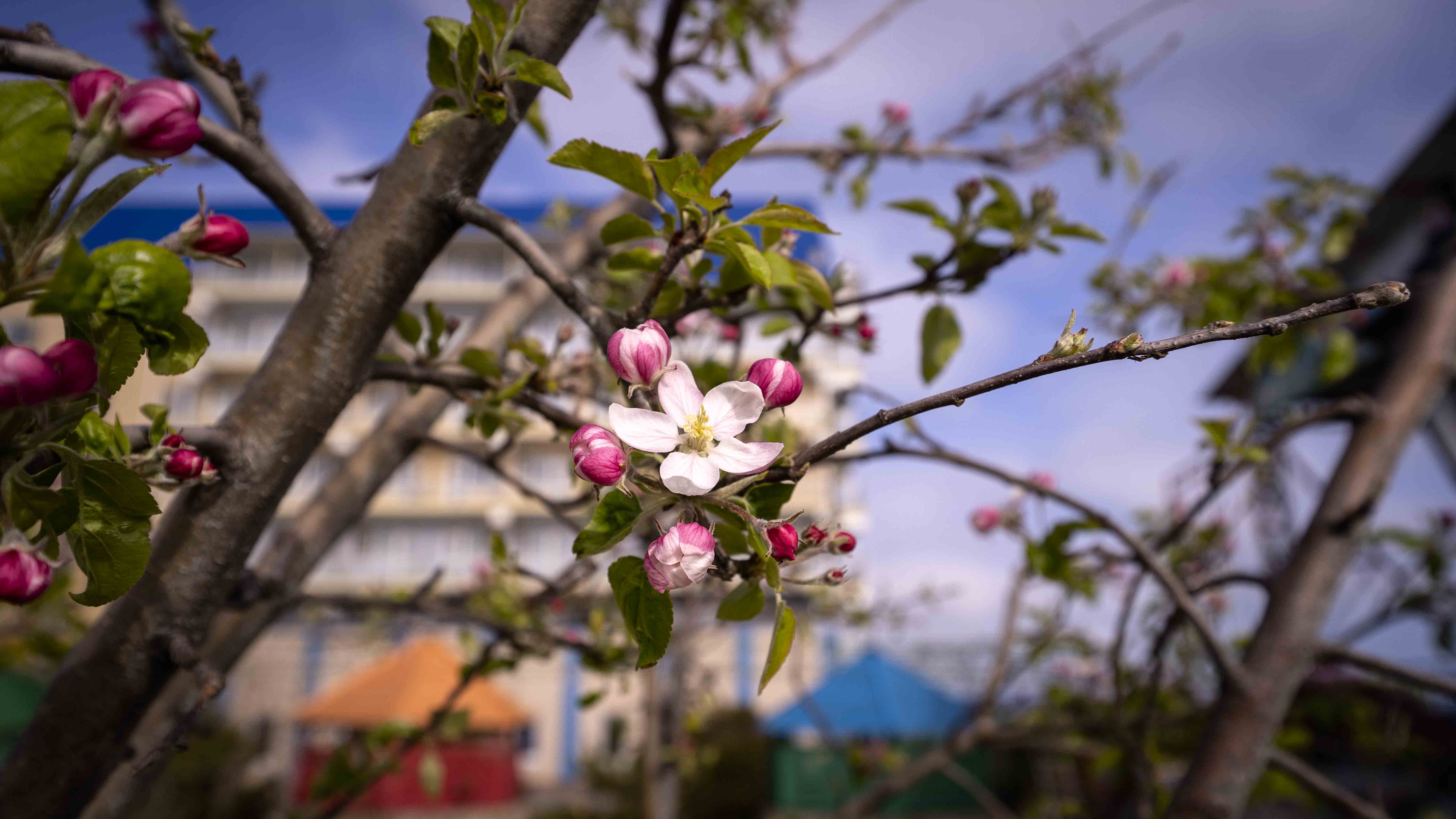 Фото Уют Тамани