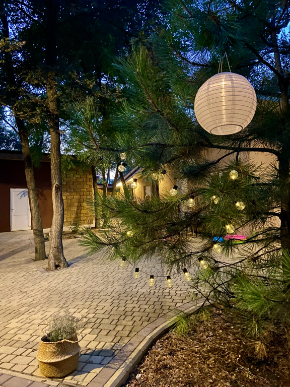 Фото Курорт-отель Дружба