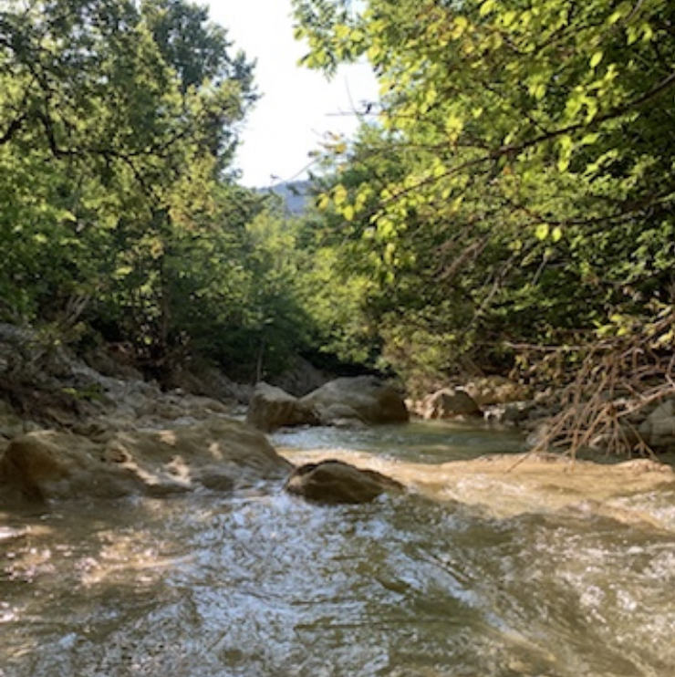 Фото Узунджа