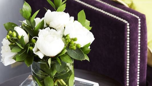 Фото Royal Regency Hotel