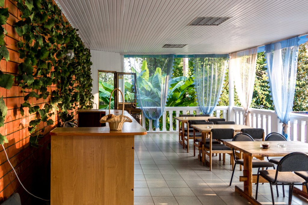 Фото Альбатрос