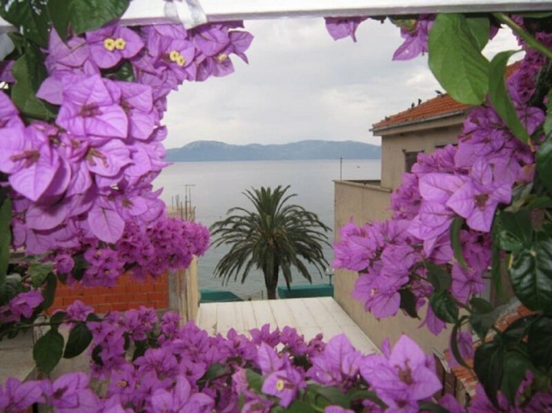 Гостиница Graci - 20 m From Pebble Beach - A1