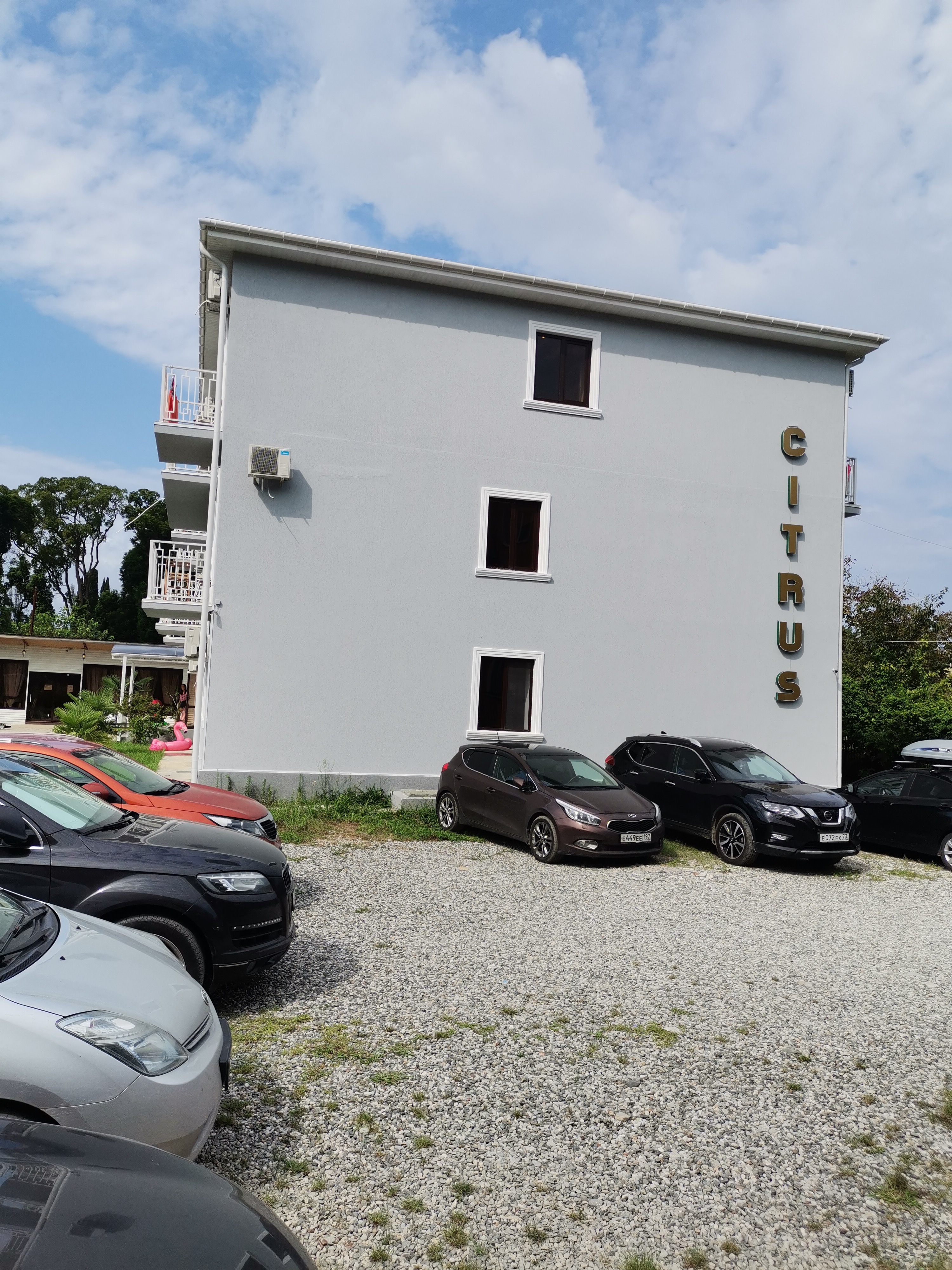 Фото Цитрус 1