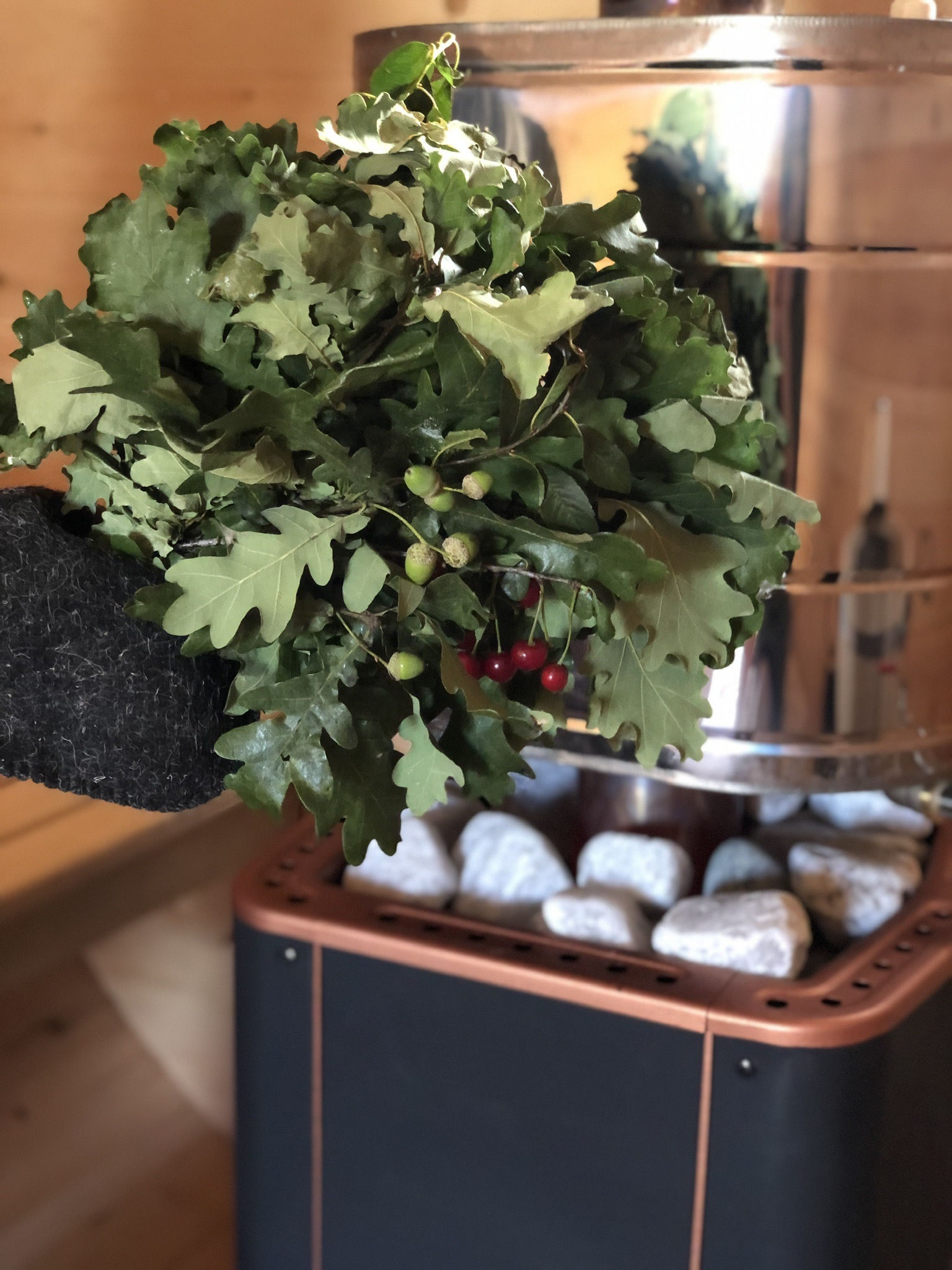 Фото Морелеса