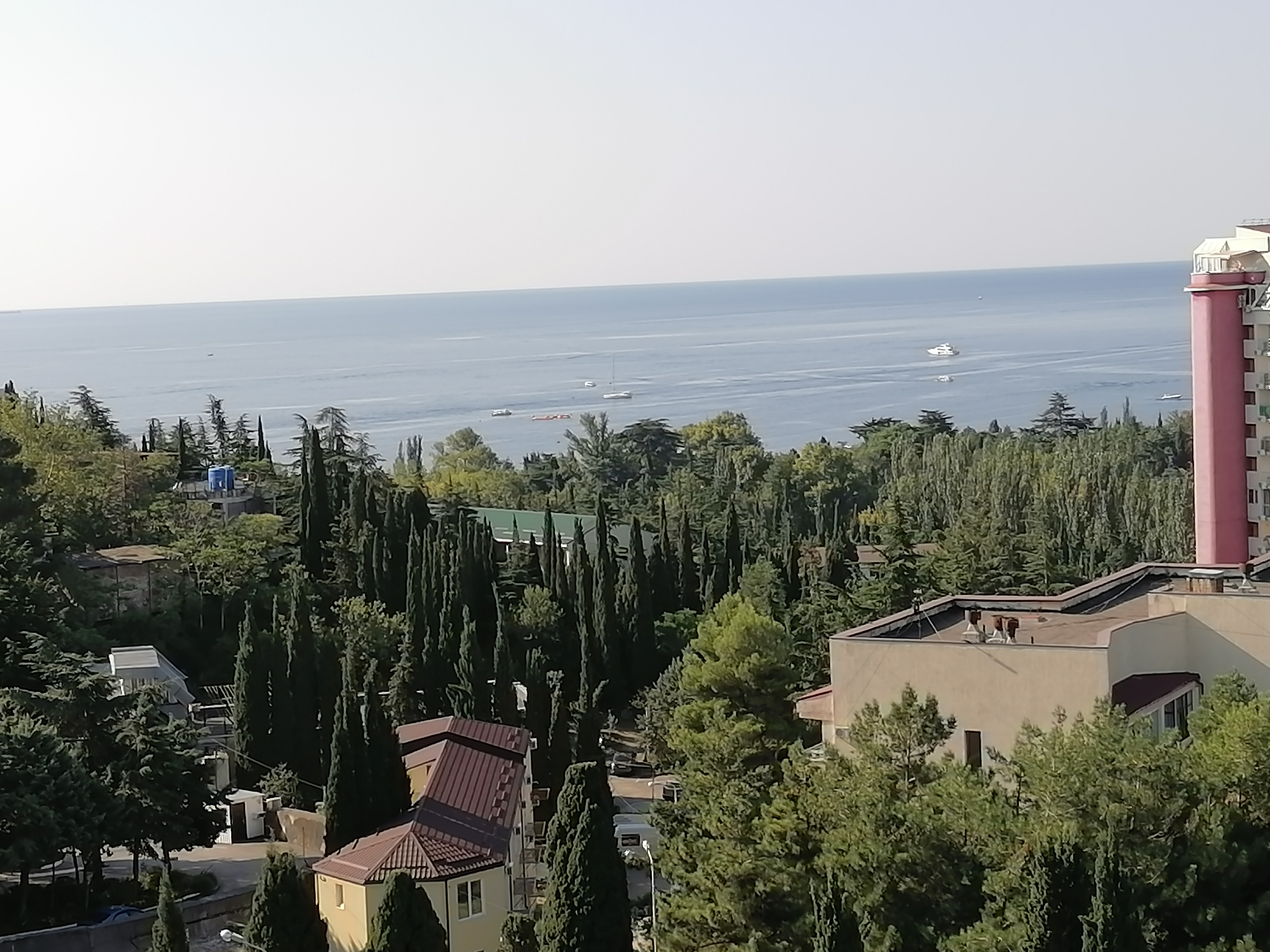 Фото Крымский гость