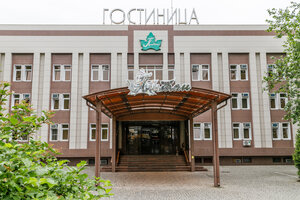 Платан