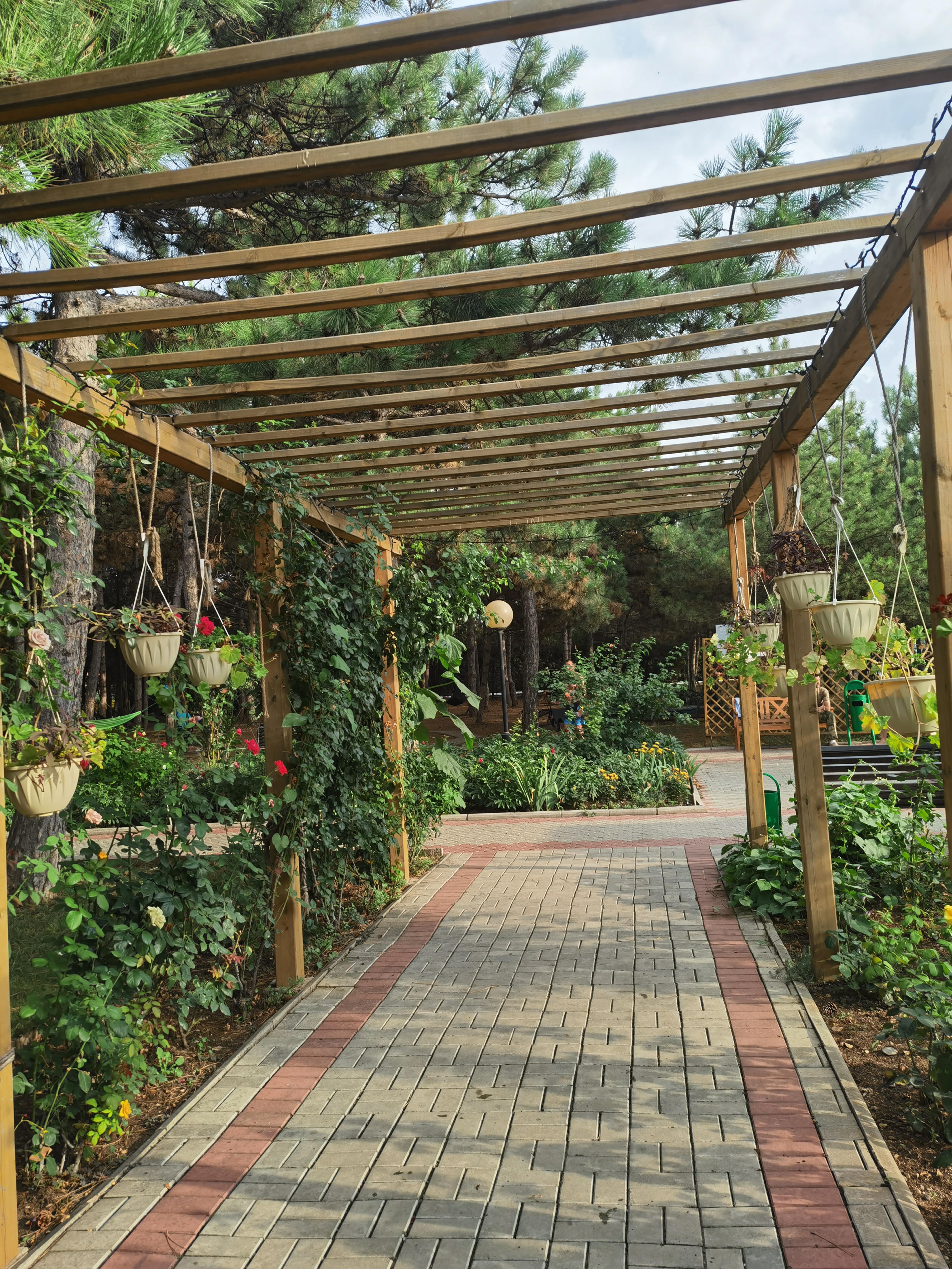 Фото Солнечный