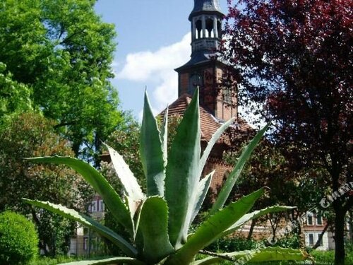 Гостиница Sankt Georg в Нойбранденбурге