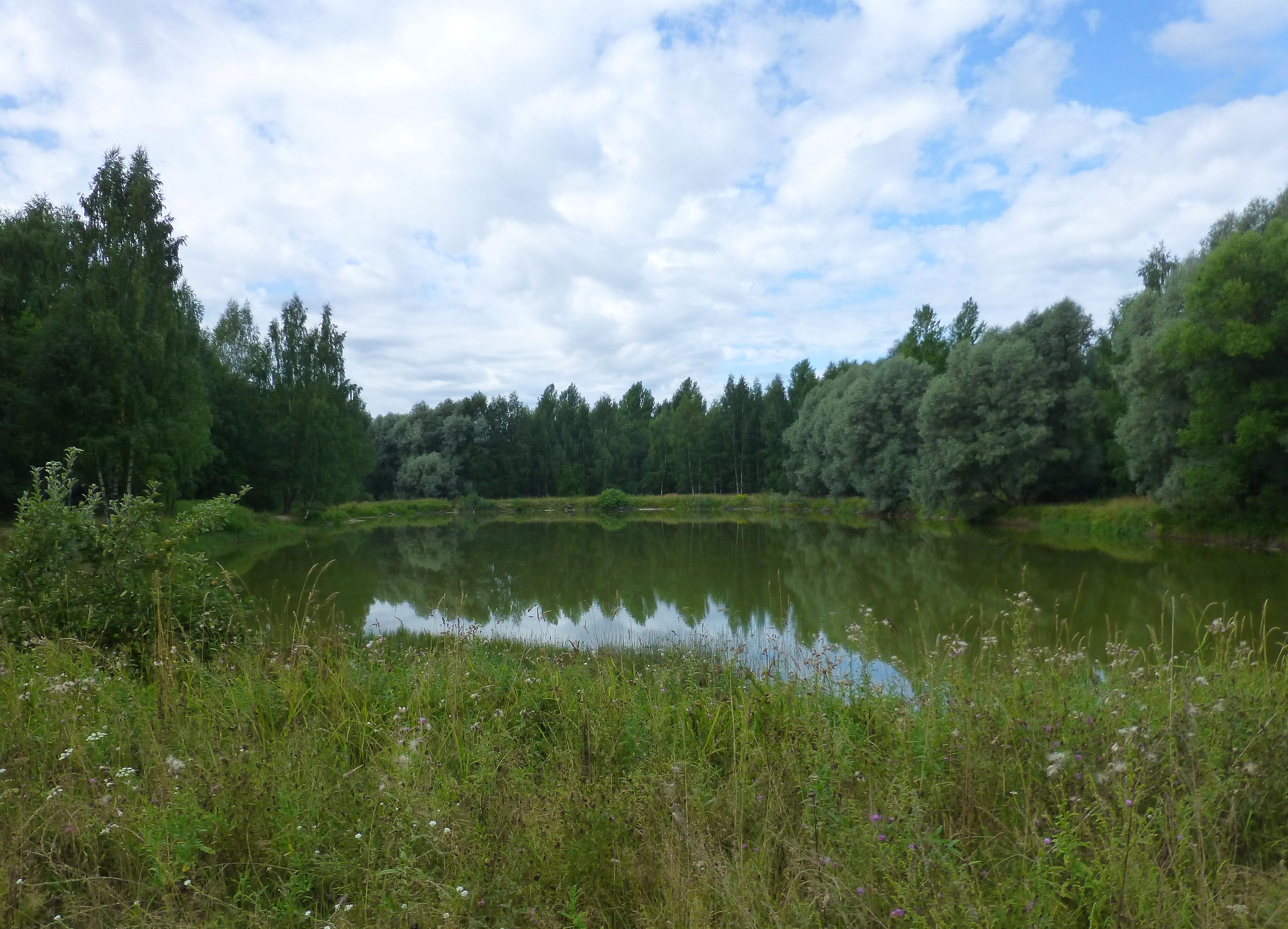 Дендропарк кострома карта