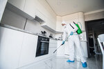 Rostovskiy Servis Dezinfektsii (Kirovskiy Avenue, 40А), disinfection, disinsection, deratization
