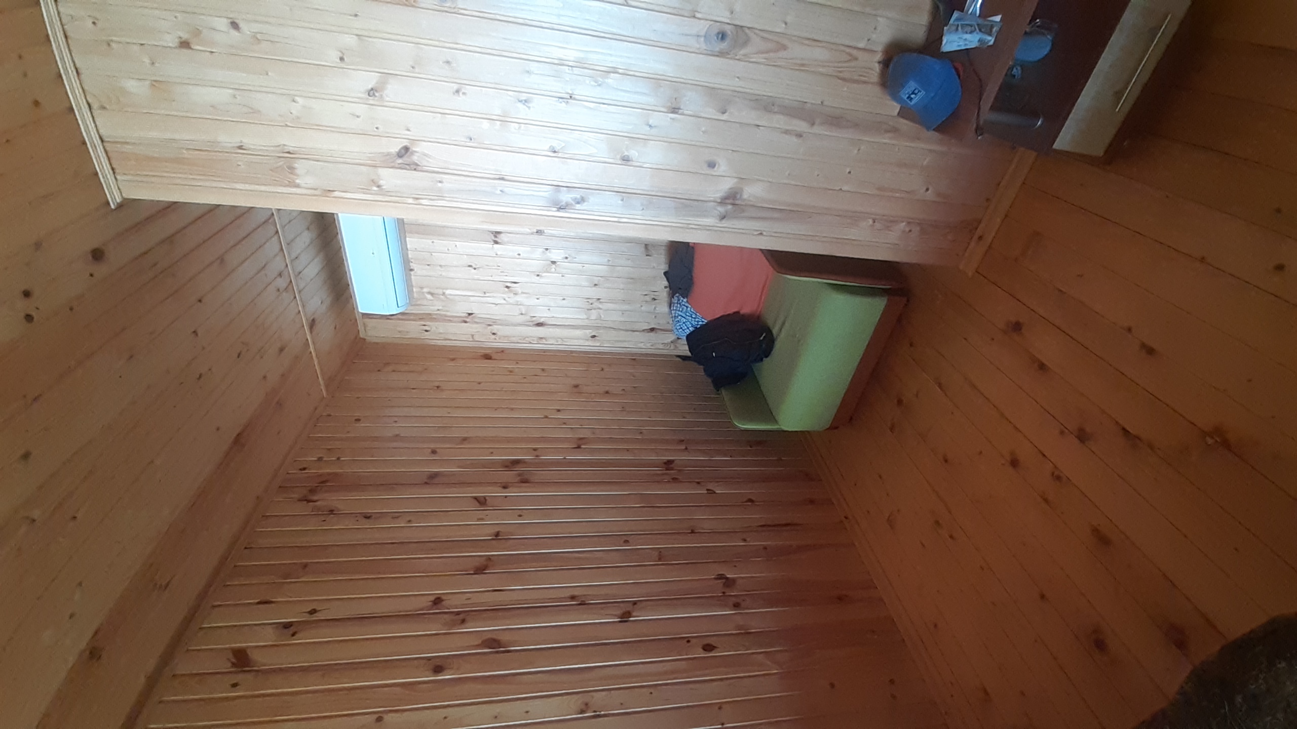 Фото Афалина