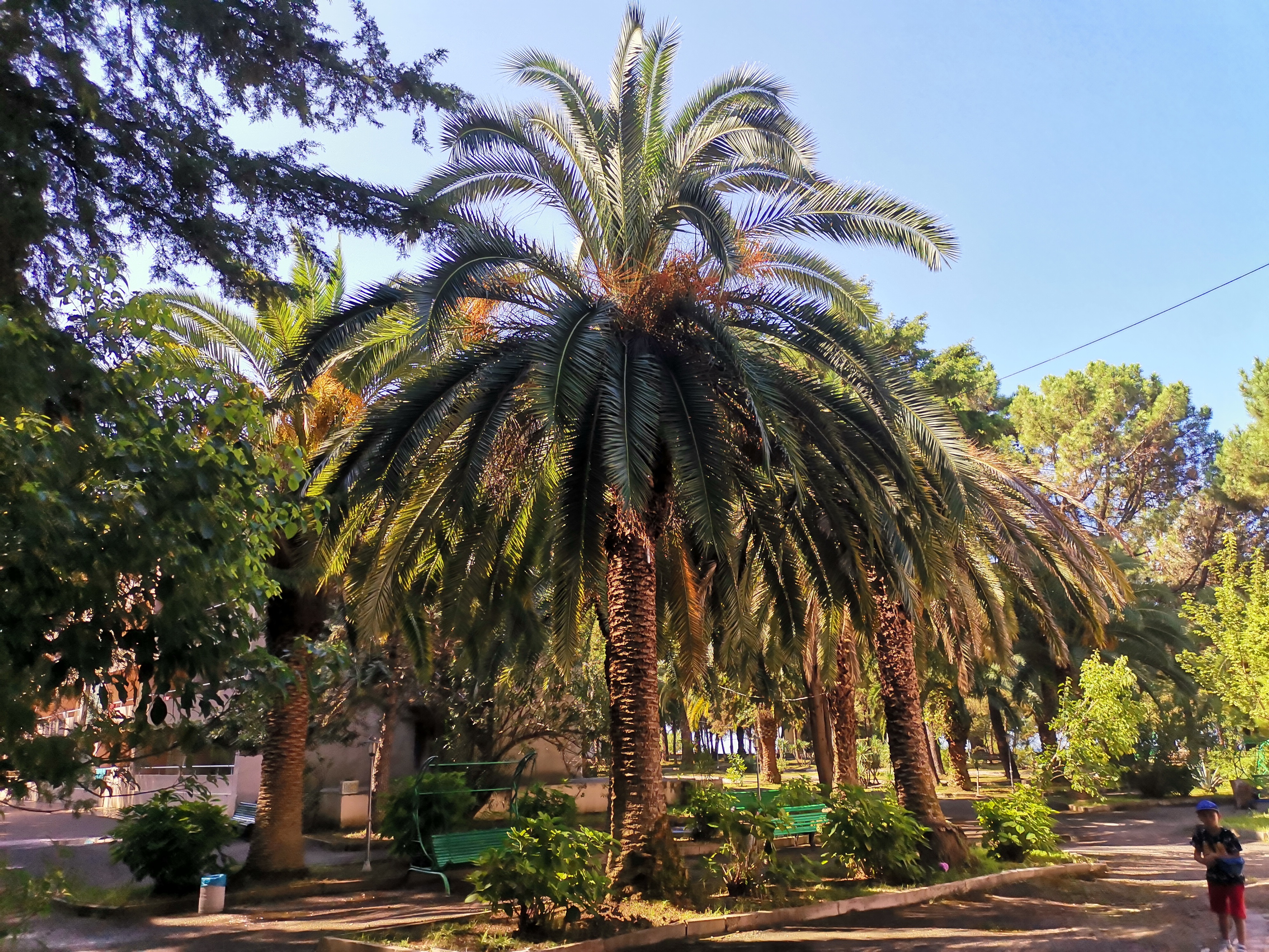 Фото Золотые пески