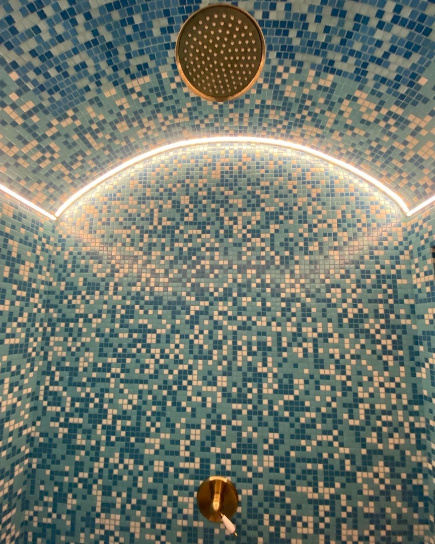 Фото Монарх