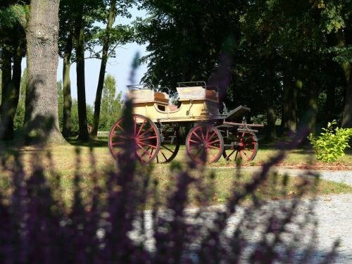 Hotel Dwór Zbozenna, Masovian Voivodeship, photo