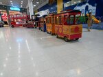 Паровозик для детей (selo Fedyakovo, Lyubimaya ulitsa, 1), amusement ride