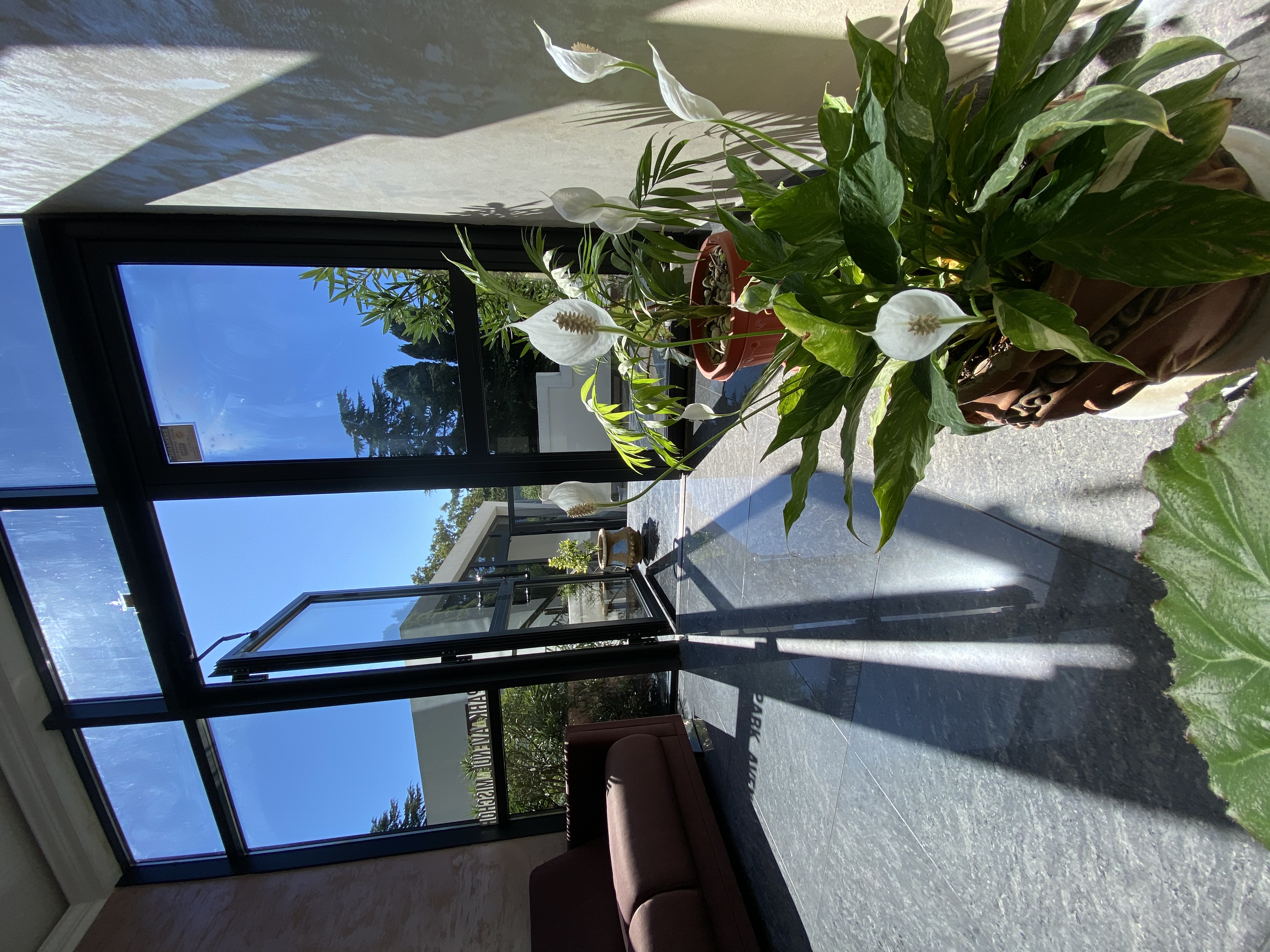 Фото Парк Авеню