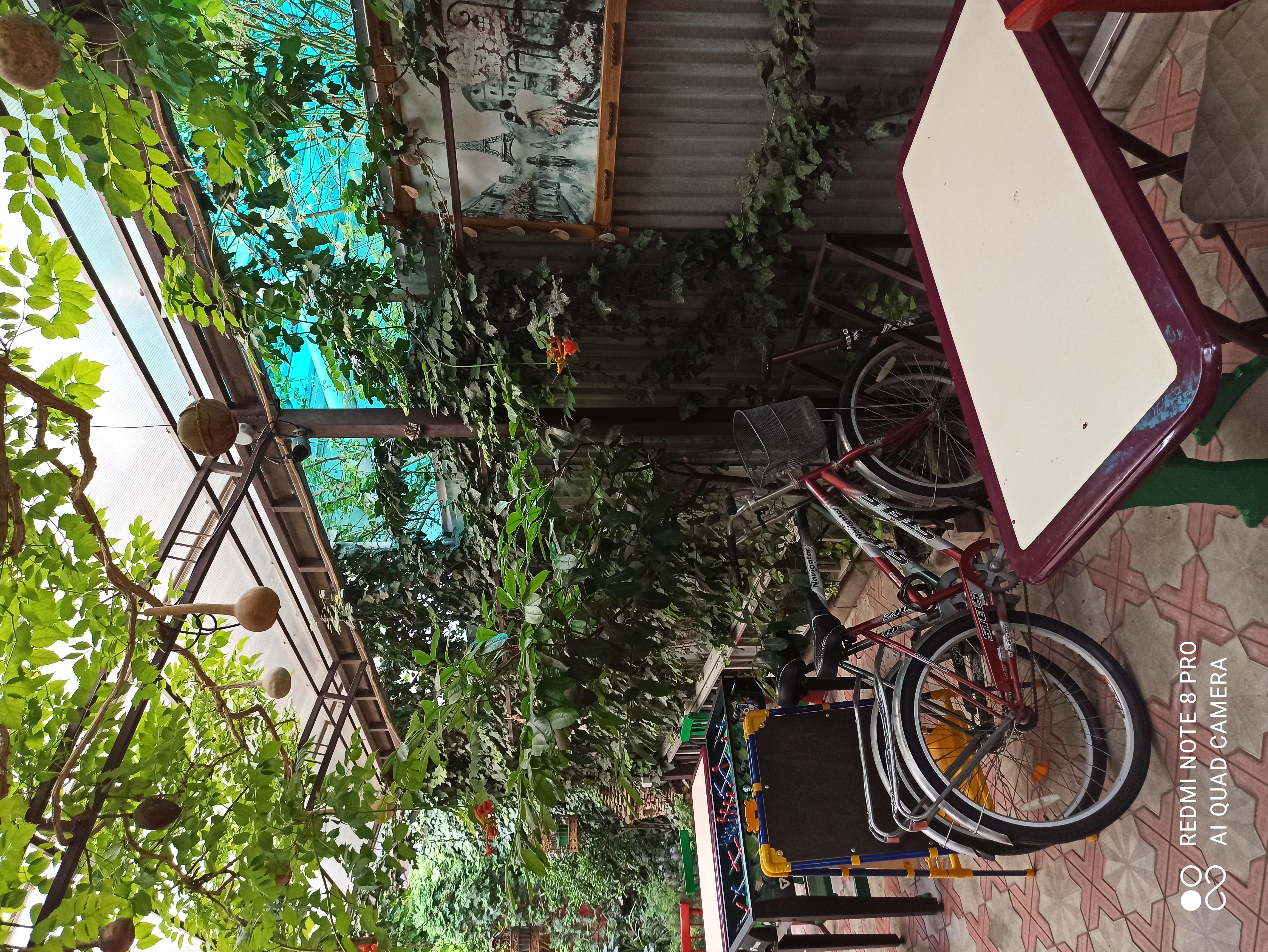 Фото Катерина