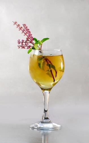 Фото Swaswara- Cgh Earth