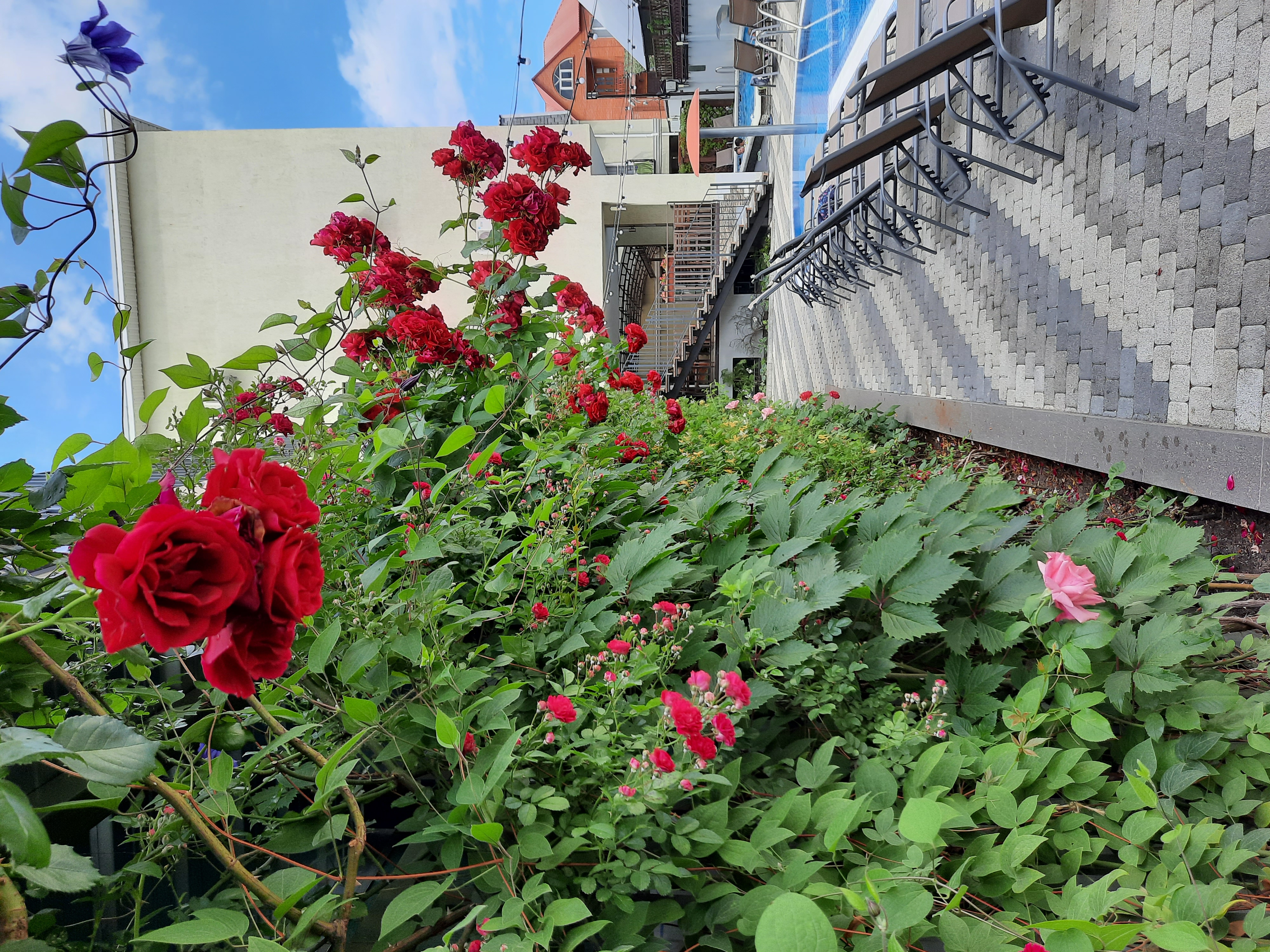 Фото Венеция