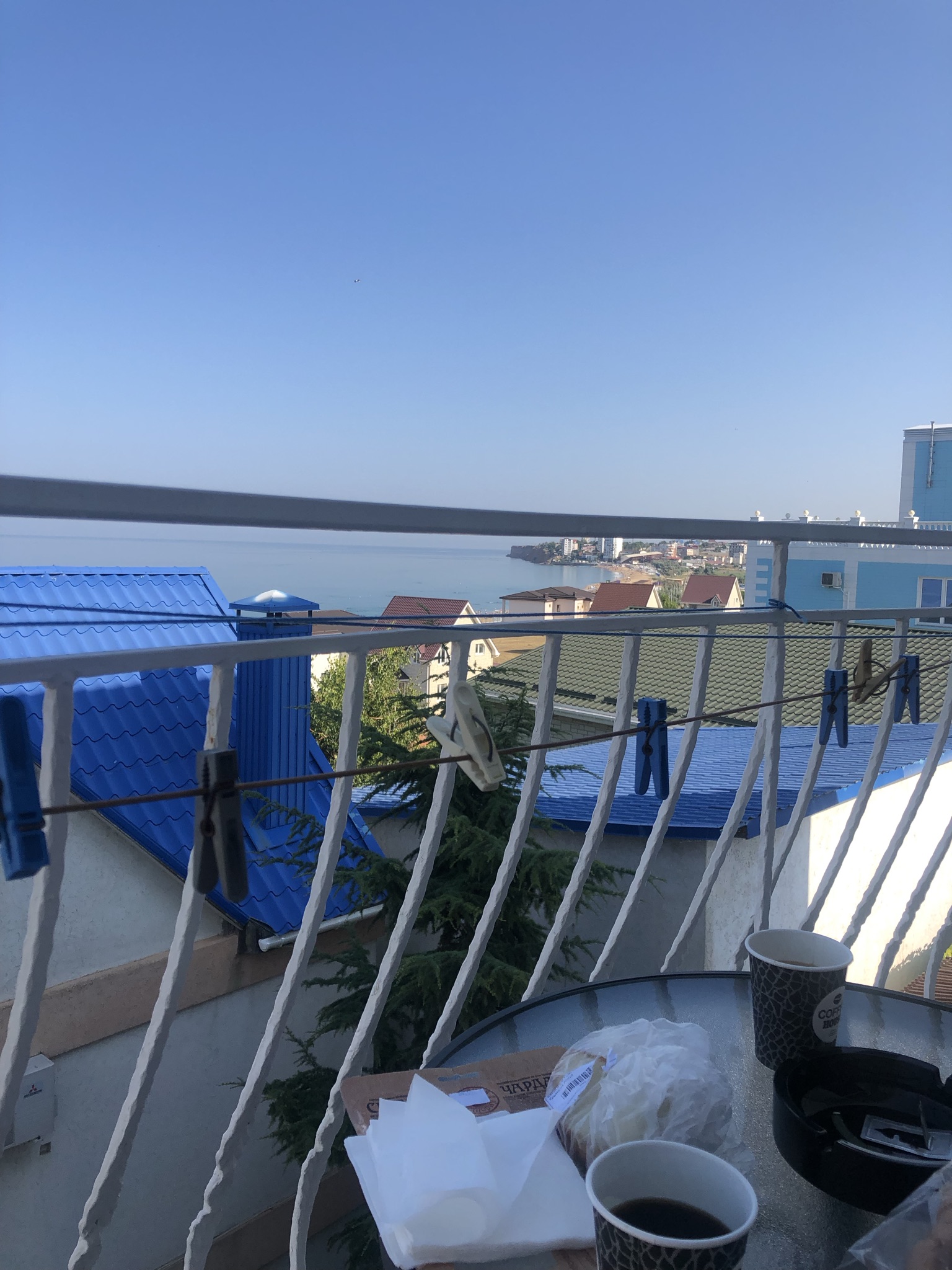 Фото АллаЯ Роза