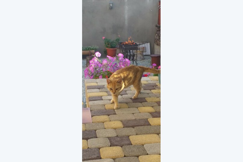 Фото Marina Garden