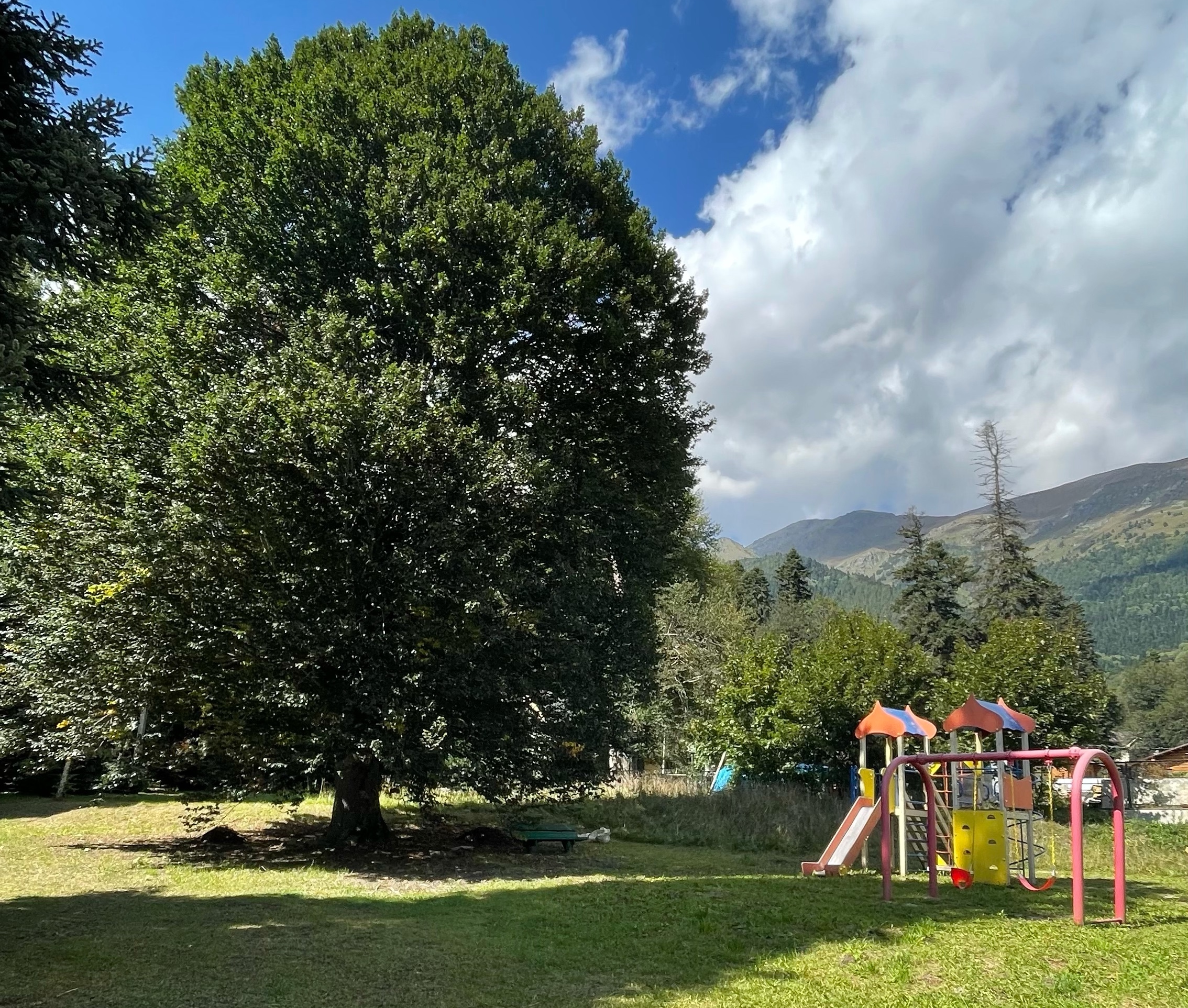 Фото Банковская дача