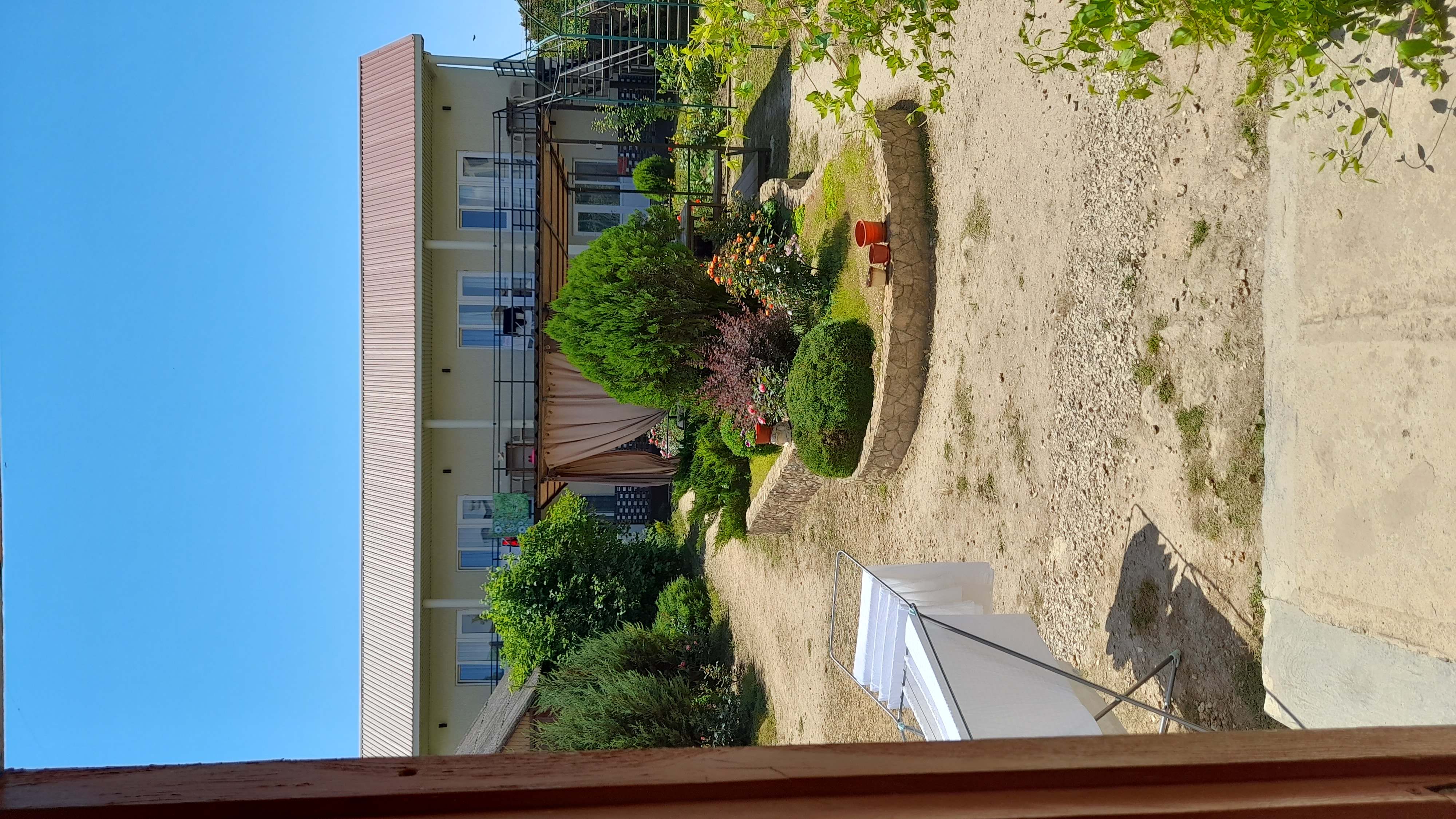 Фото Тетушка Сова