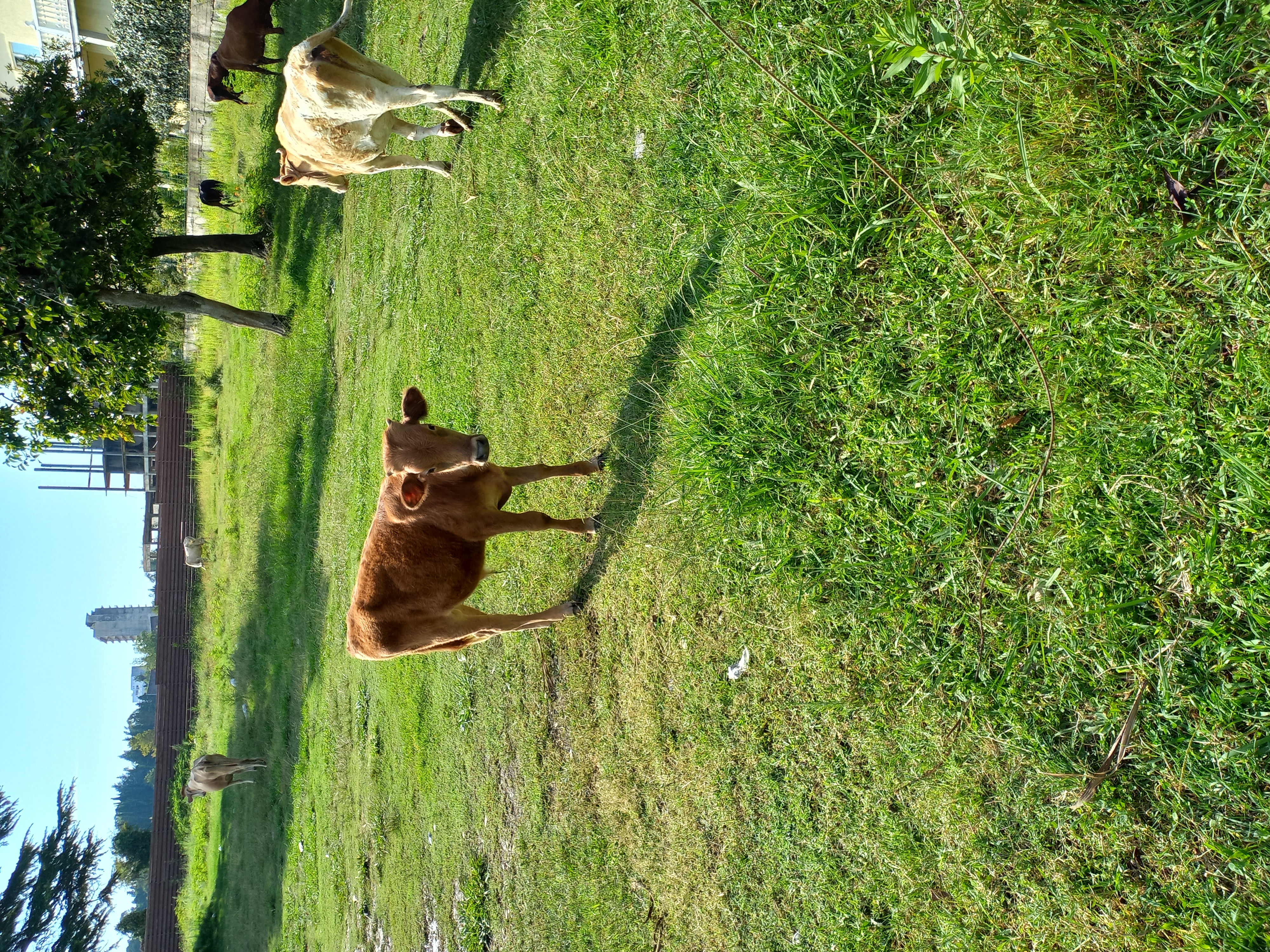 Фото Дени Дельмар