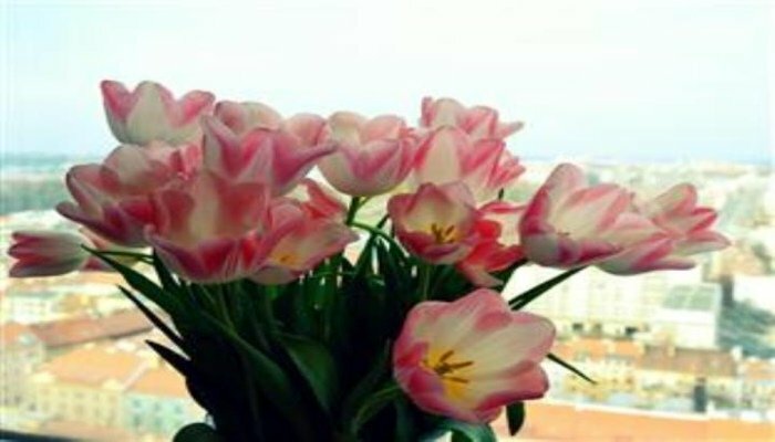 Гостиница One Room Hotel в Праге