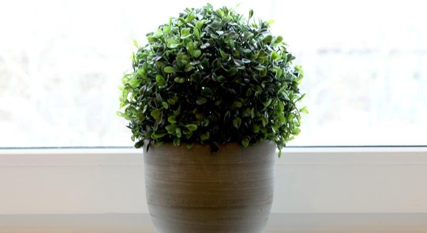 Фото Турецкий берег