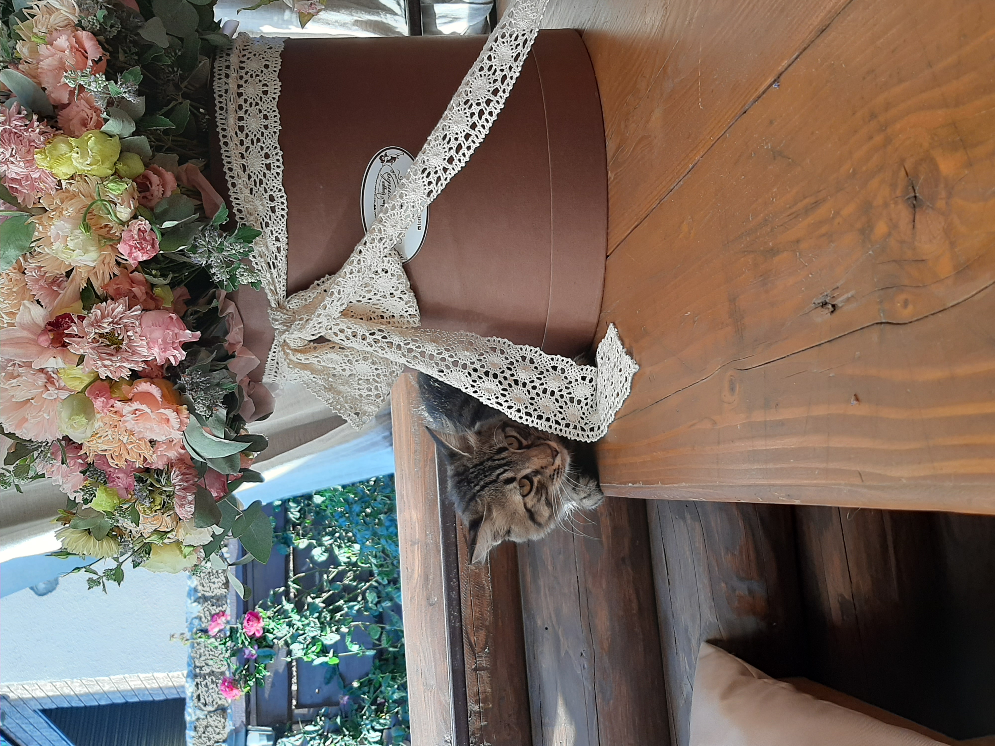 Фото Сказка