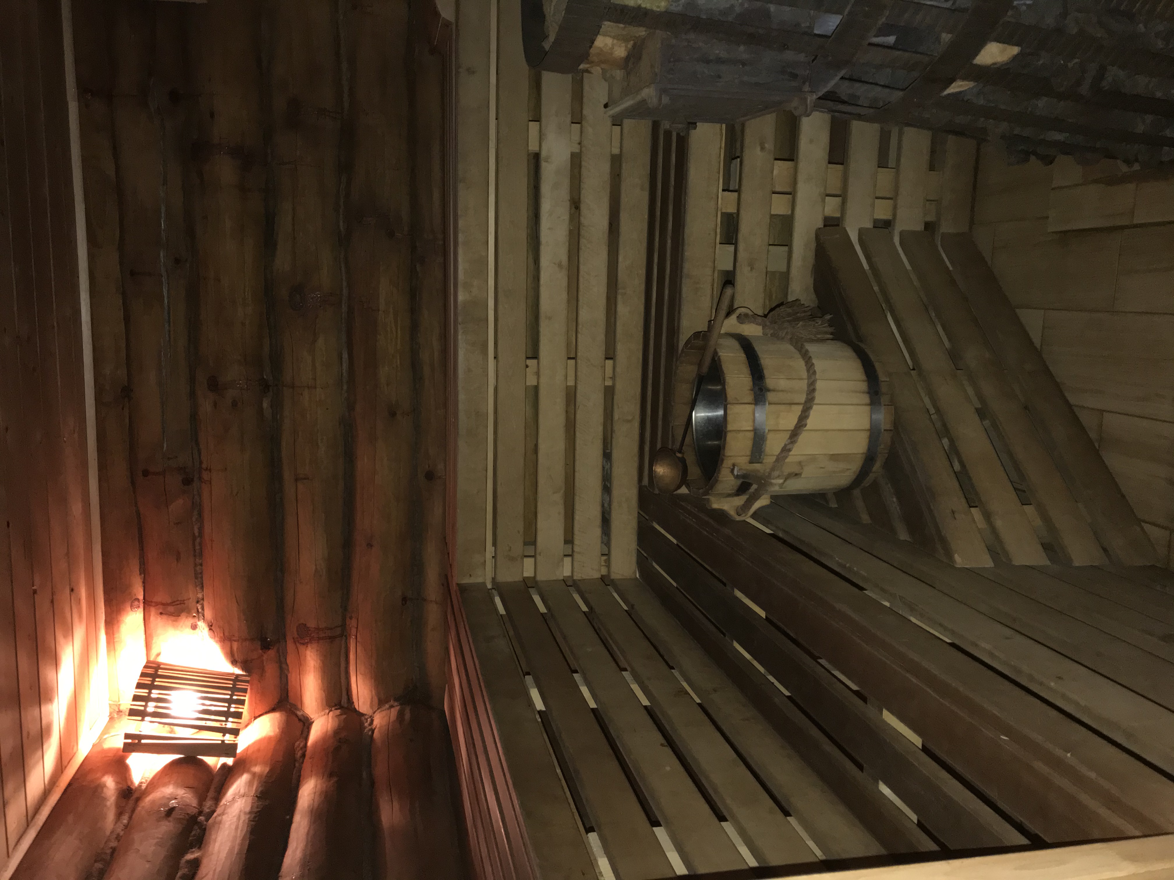 Фото Серый Волк