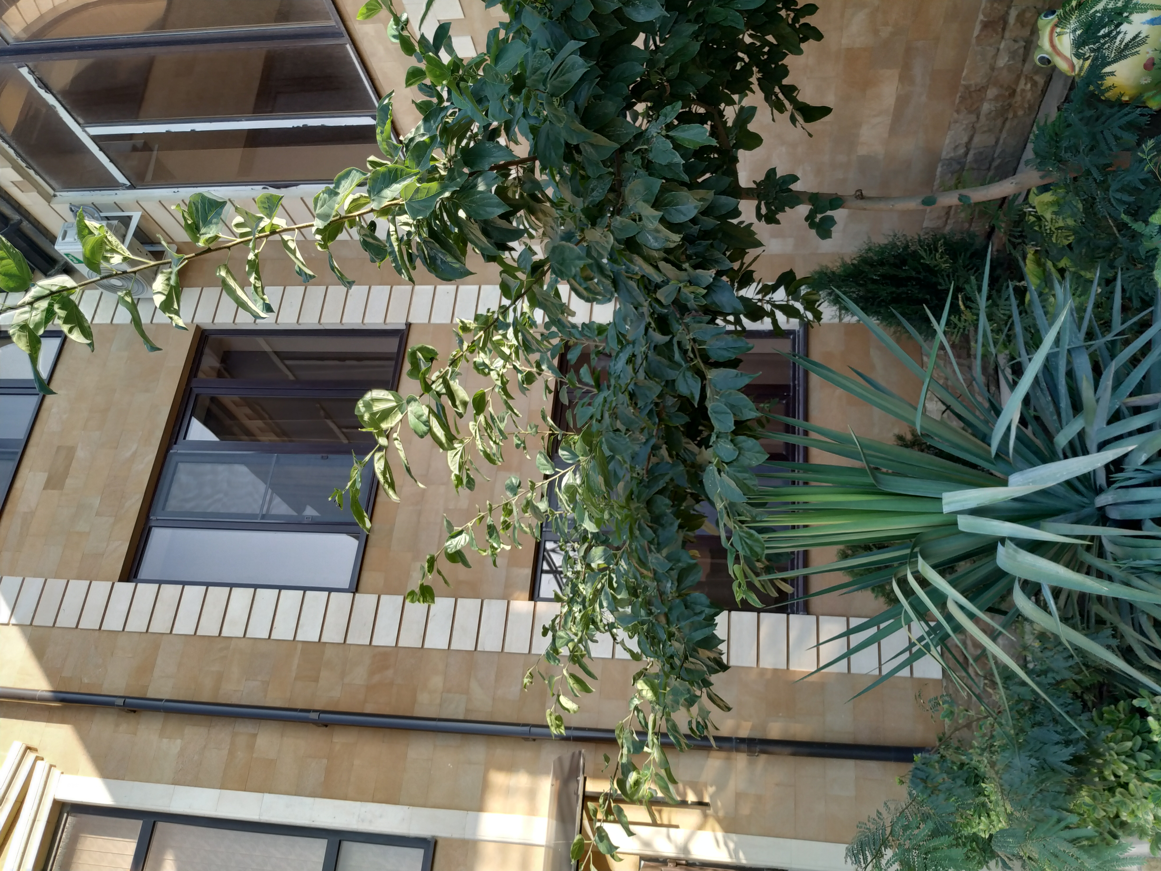 Фото Ривьера