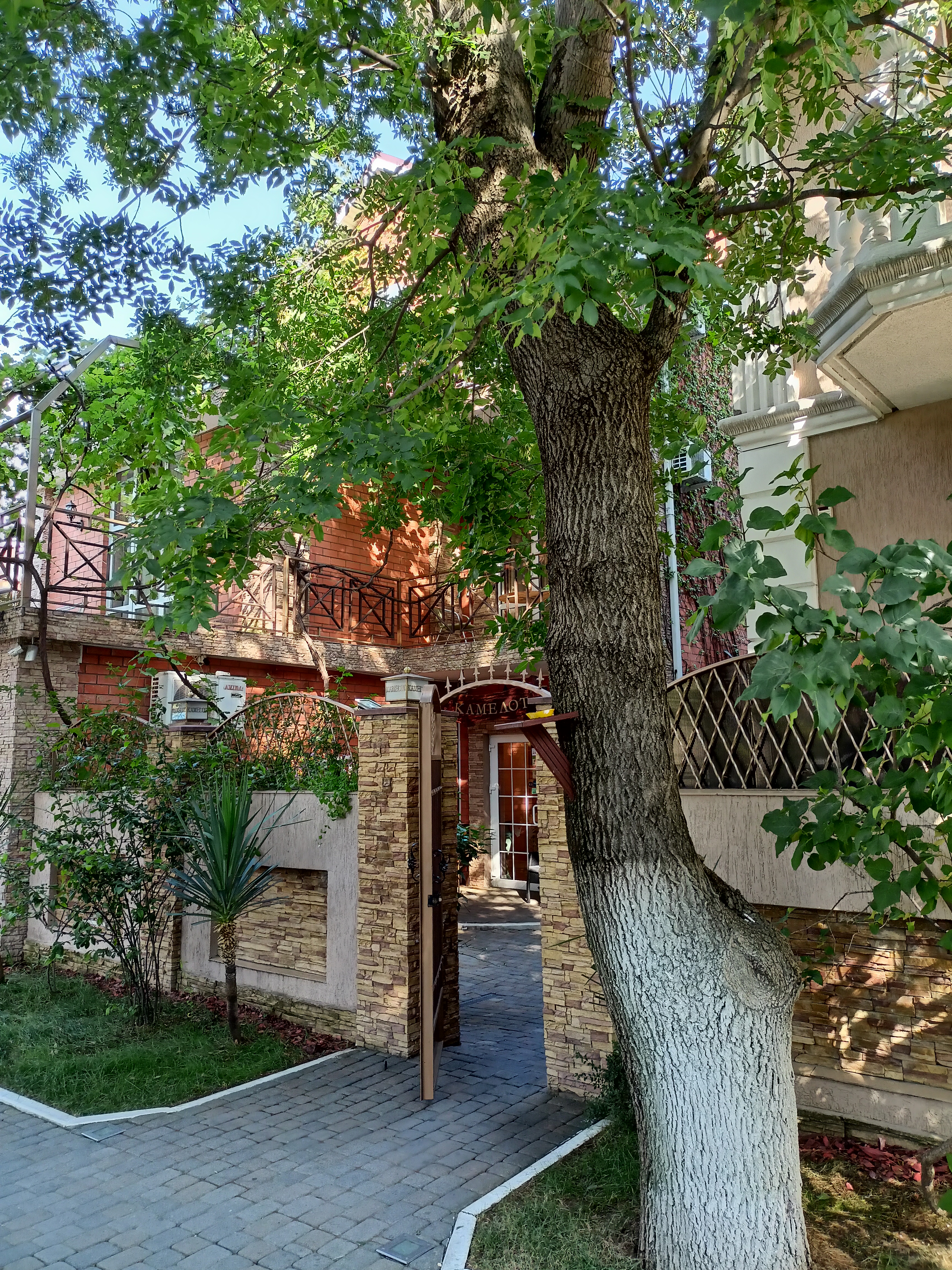 Фото Камелот