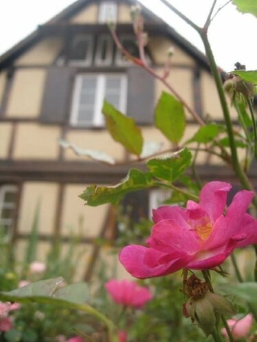 Гостиница Chambres d'Hôtes La Stoob Strasbourg Sud