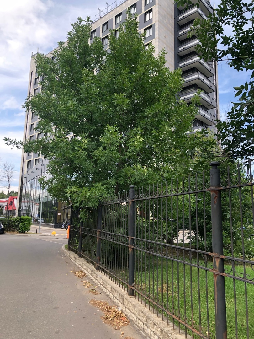 Фото Cosmos Yaroslavl Hotel