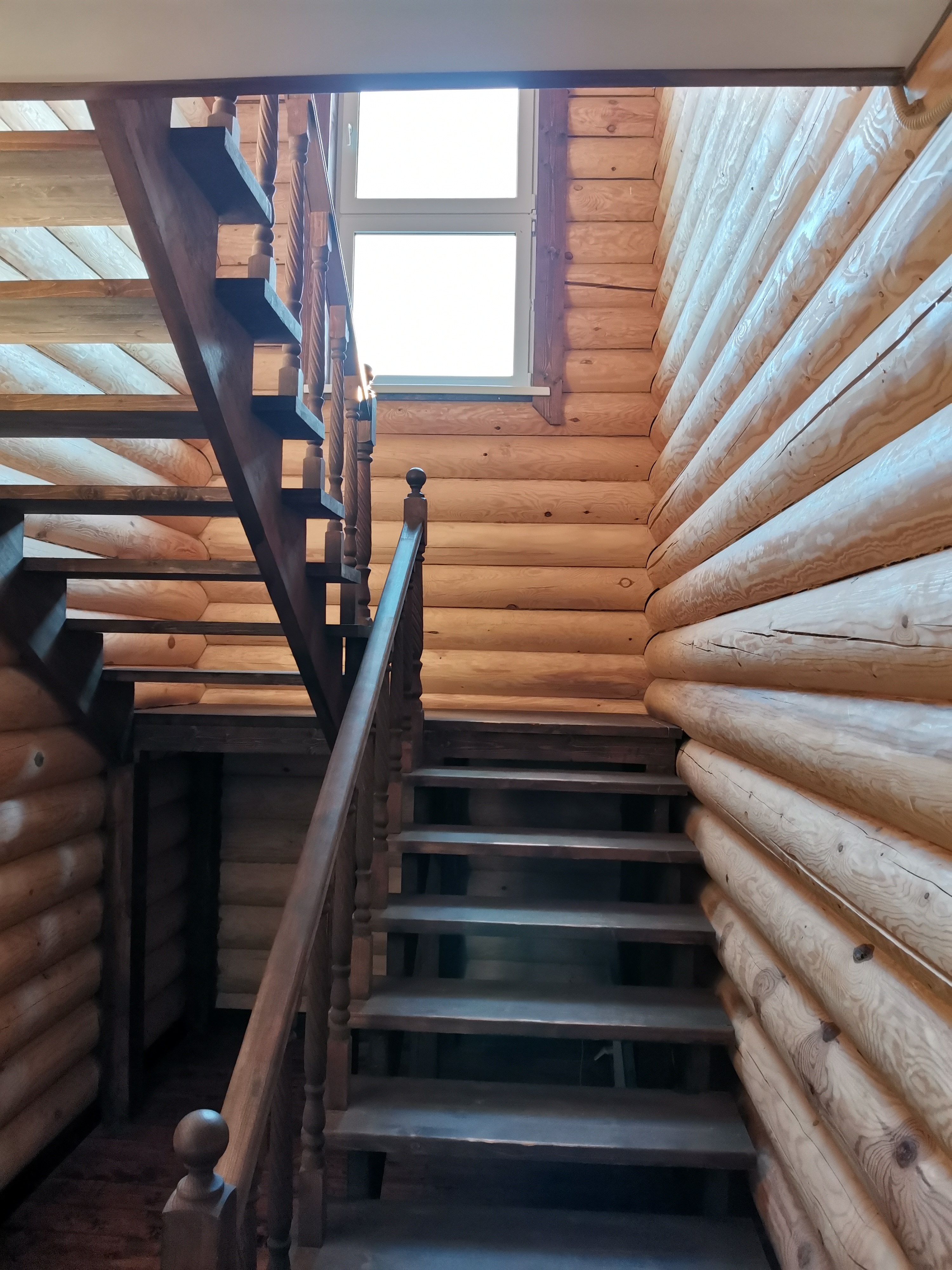 Фото Ковчег