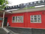 Flower Market (Álibı Jangeldın kóshesi, 22) ، محل زهور