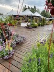 Bogorodsky garden cafe (derevnya Vorya-Bogorodskoye, Granatovaya ulitsa, с8), cafe