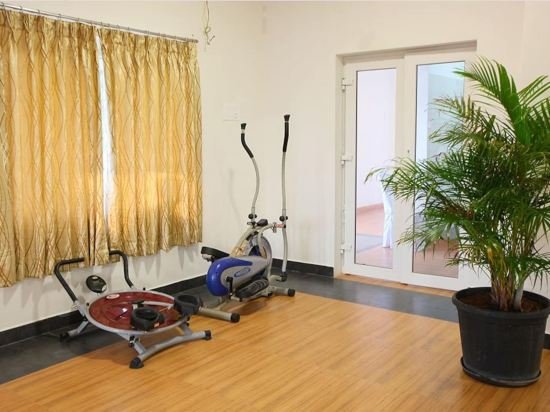 Фото Emerald Dove