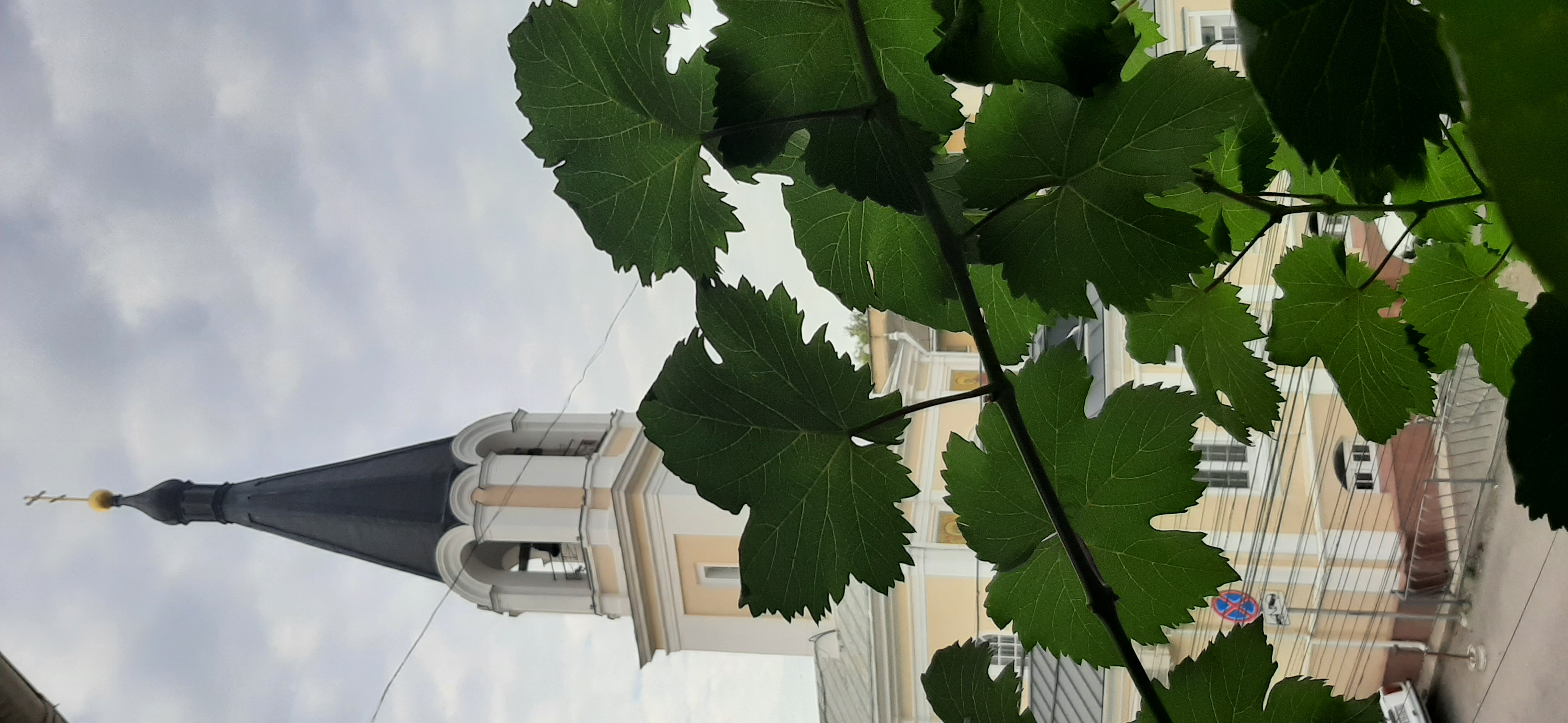 Фото Таврическая