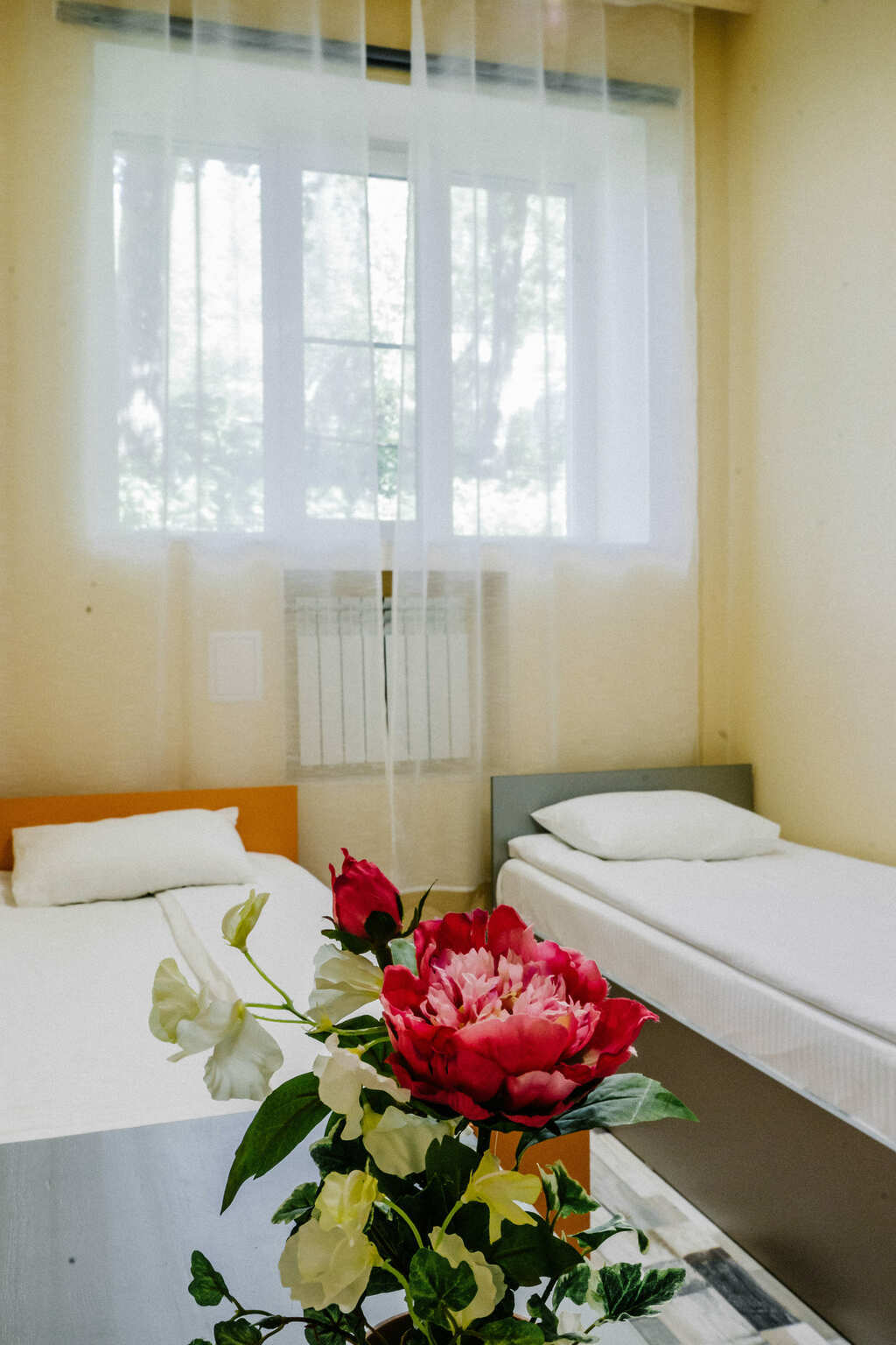 Фото Камчатский