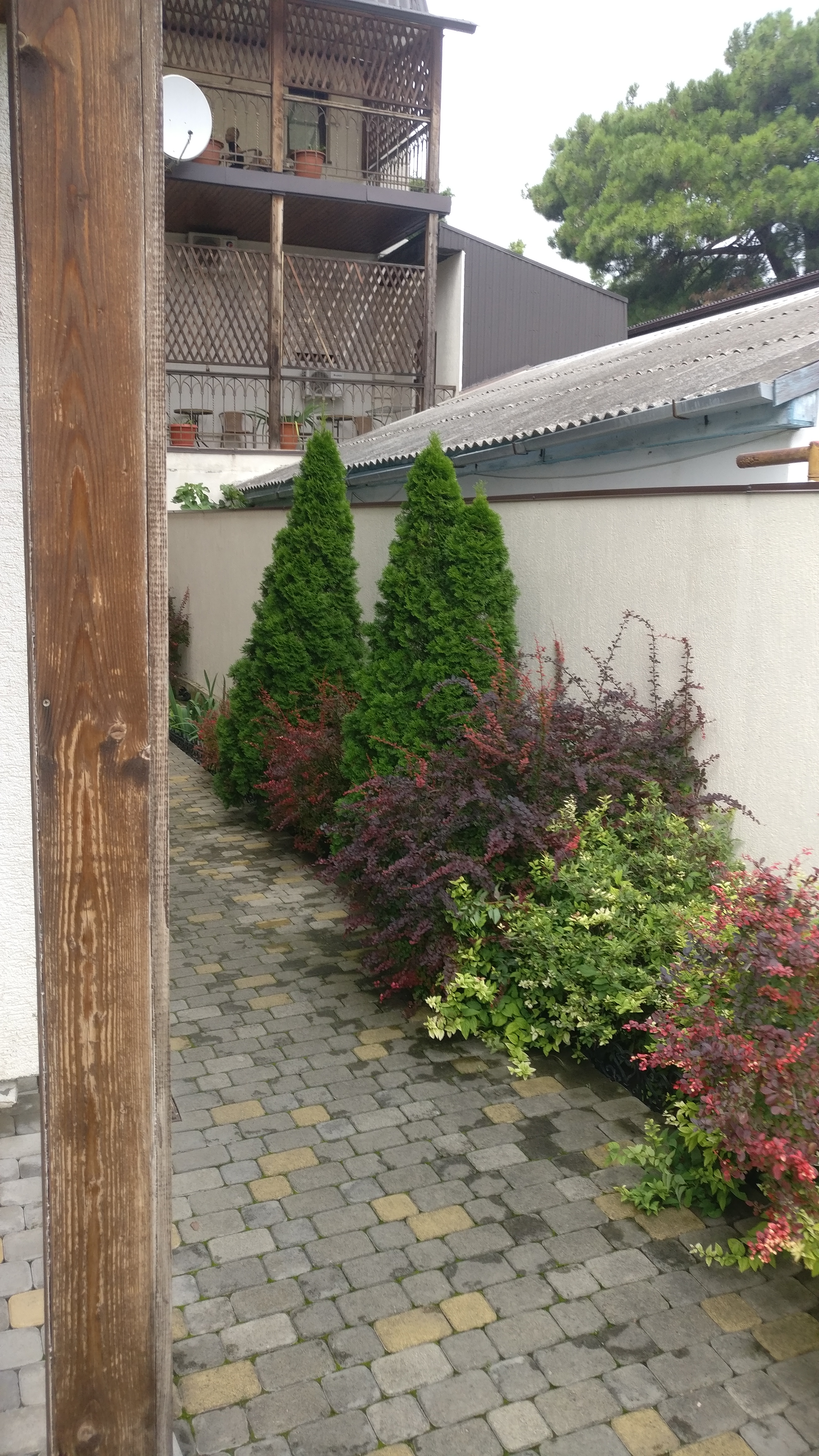 Фото Астория