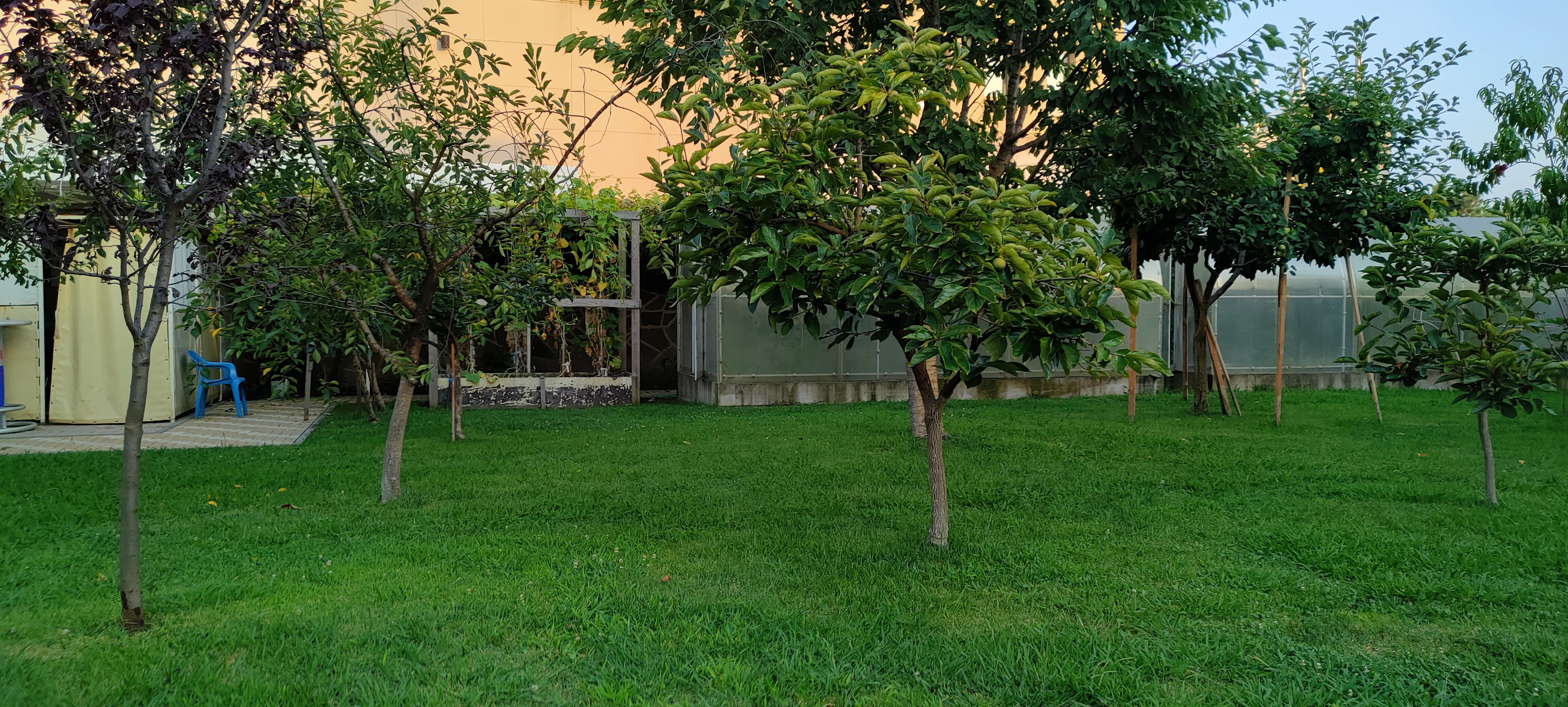 Фото Грин Хаус