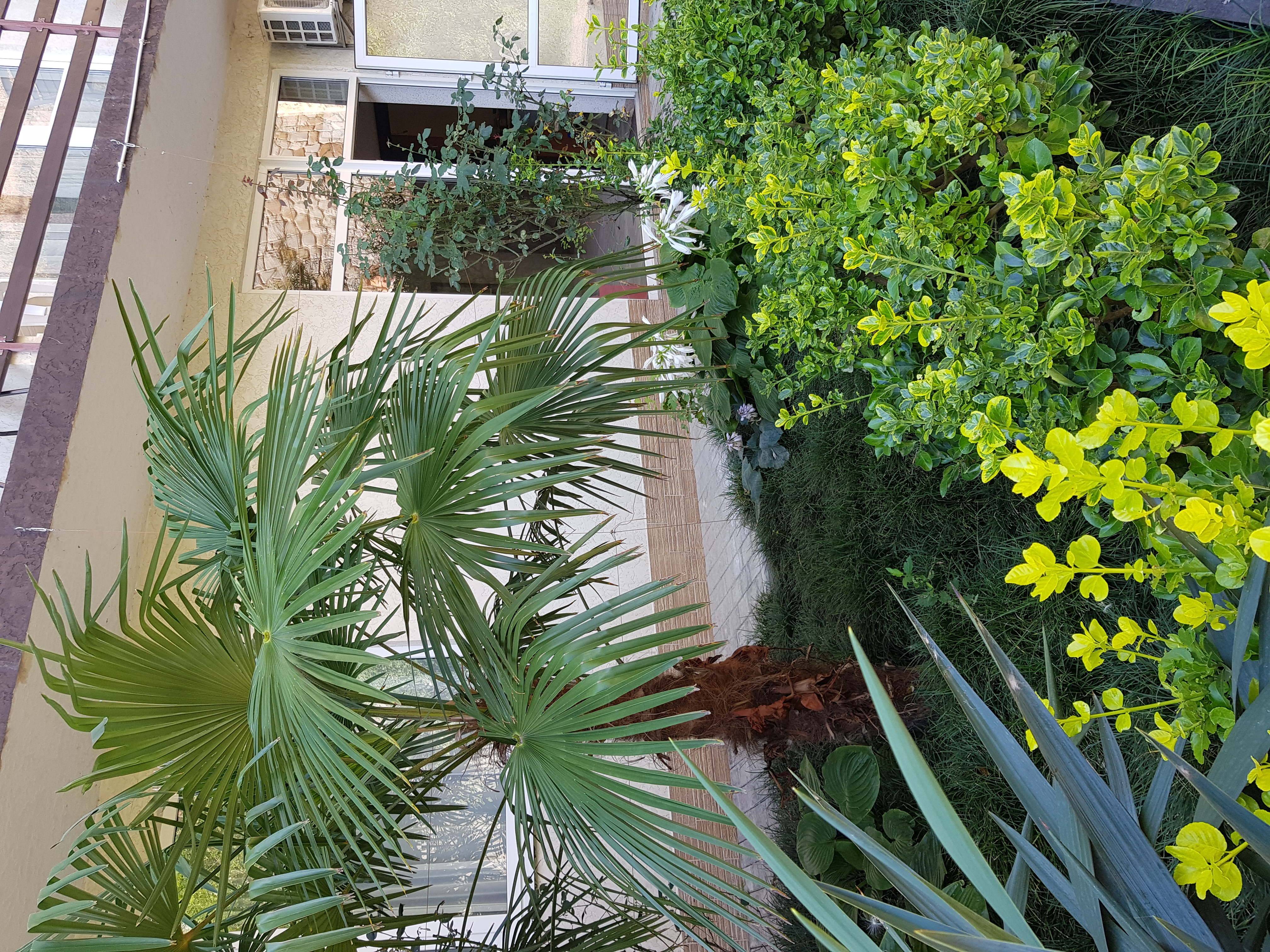 Фото Прилив