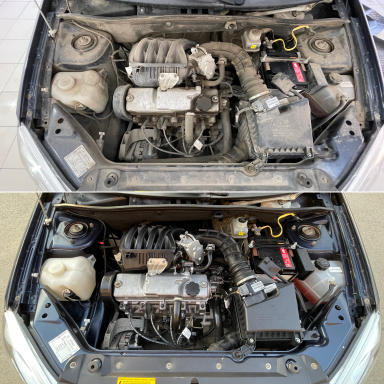 Фото Мишель