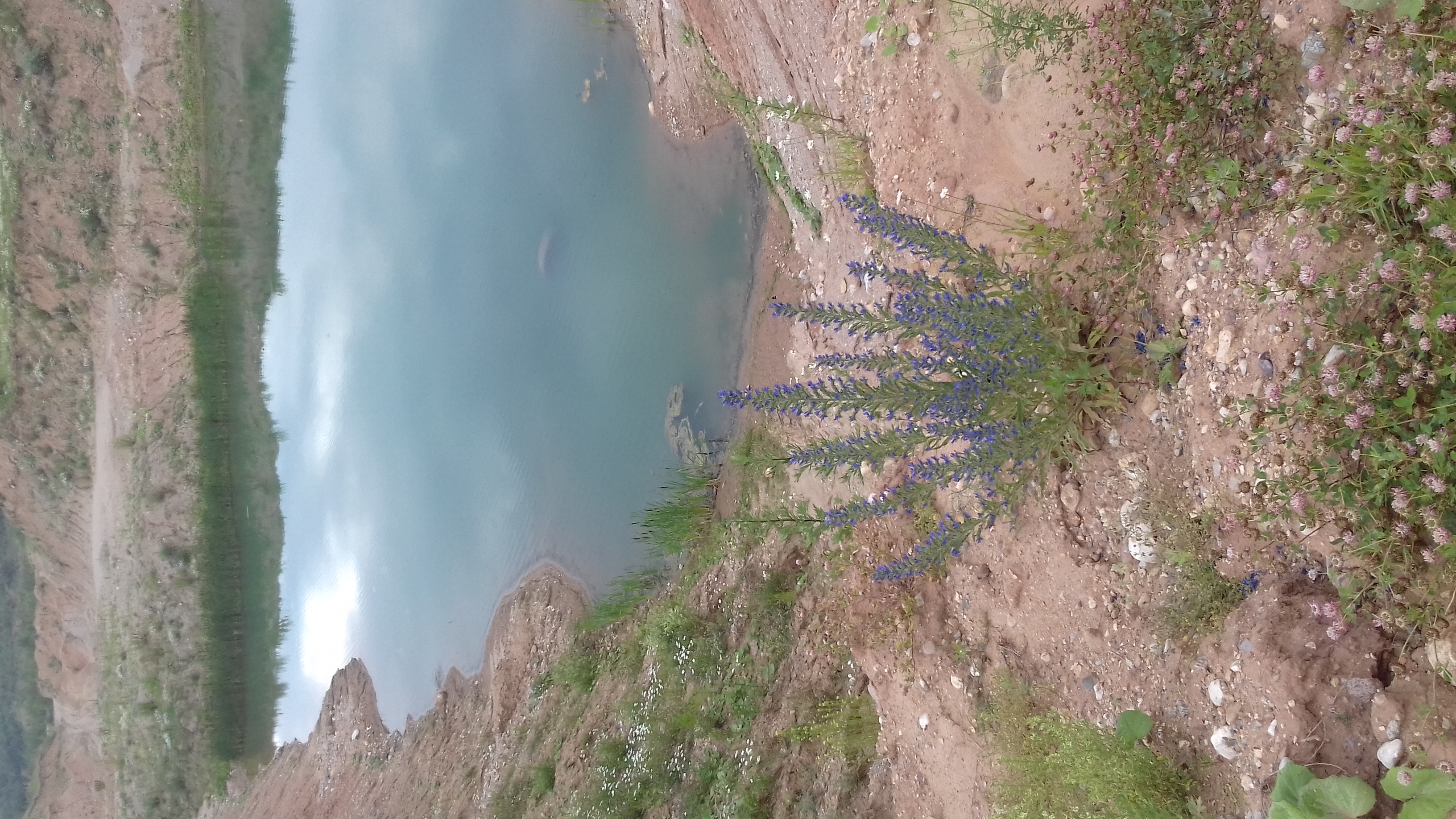 Фото Lesnaya Skazka