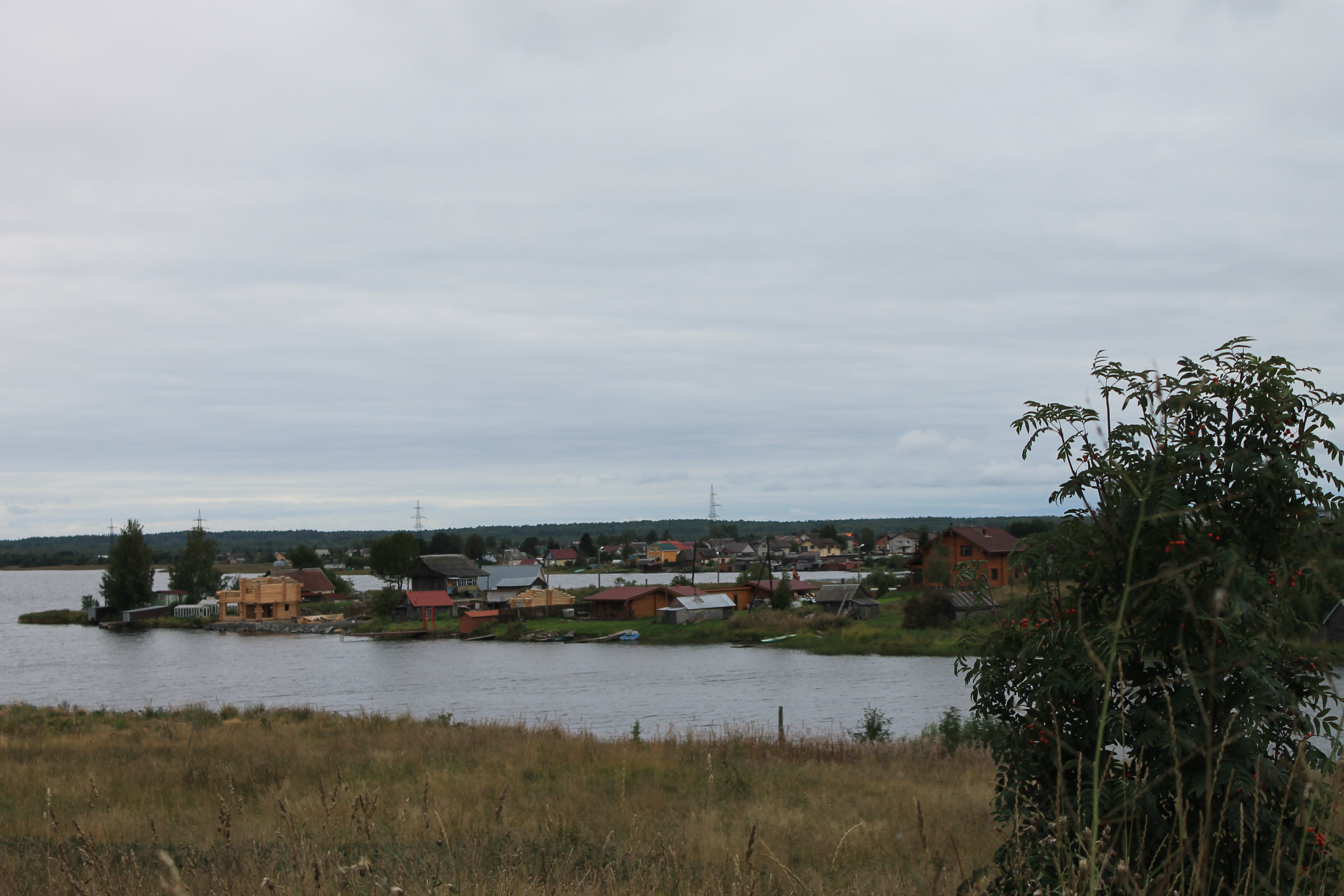 Фото У плотника